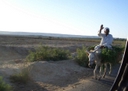 Le voyage vous emmne de Crystal Desert au dsert blanc en passant par l'oasis de 
Farafra et ses sources d'eau chaude. C'est en 4X4,  pied ou  dos de chameau que l'on quitte le desert blanc pour traverser ensuite le dsert de 
l'Ouest o les dunes nous accueillent dans un autre monde, celui du sable.